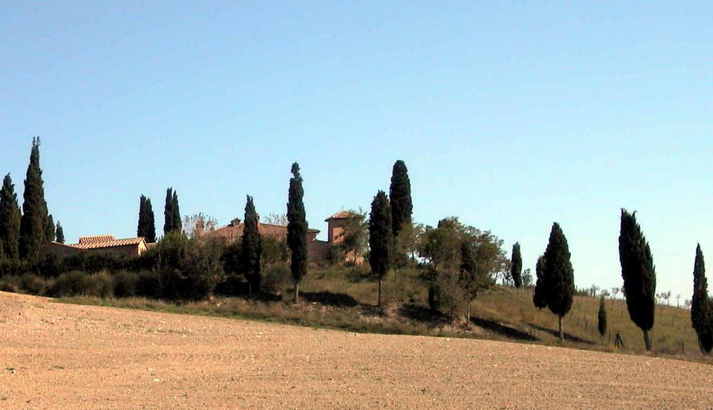 Castello Di Leonina Adults Only Hotel Siena Exterior foto